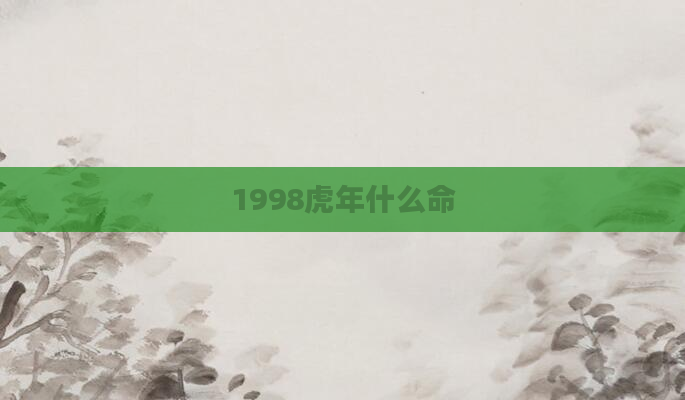 1998虎年什么命