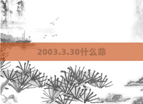 2003.3.30什么命