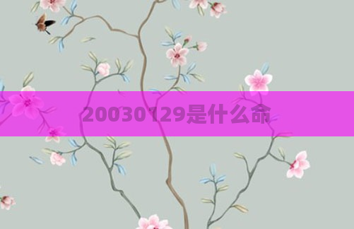 20030129是什么命