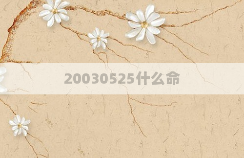 20030525什么命