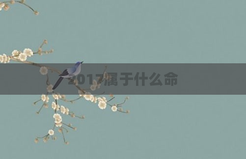 2017属于什么命