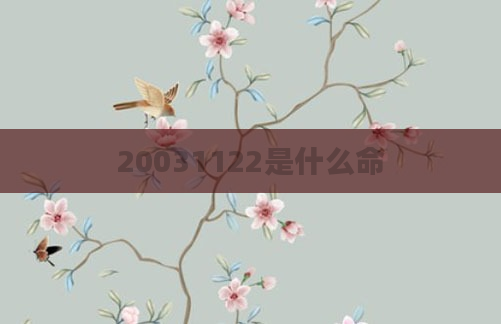 20031122是什么命