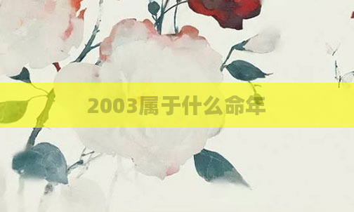 2003属于什么命年