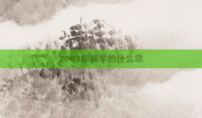 2003年属羊的什么命