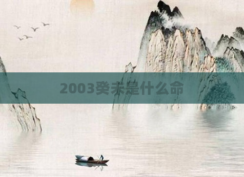 2003癸未是什么命