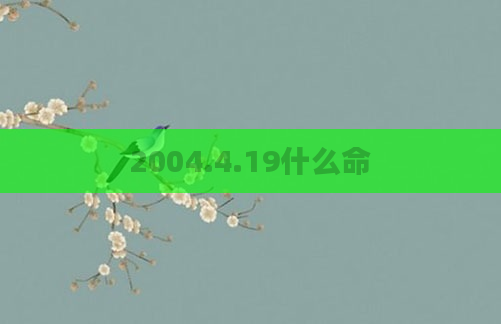 2004.4.19什么命