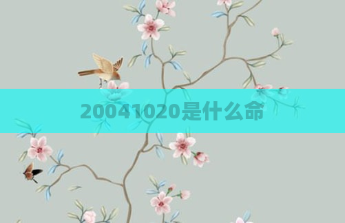 20041020是什么命