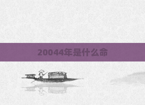 20044年是什么命