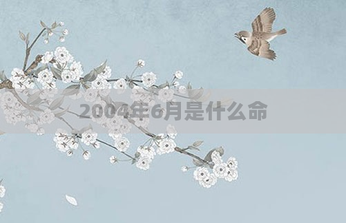 2004年6月是什么命