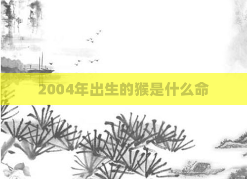 2004年出生的猴是什么命
