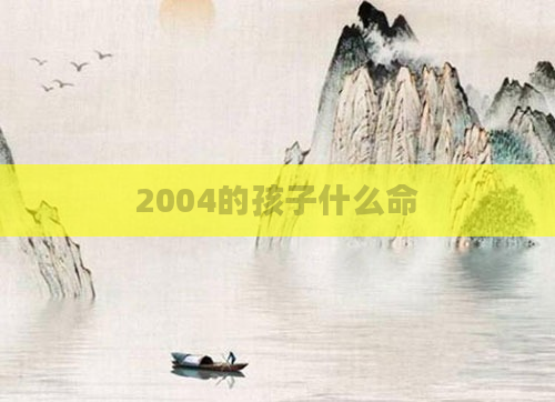 2004的孩子什么命
