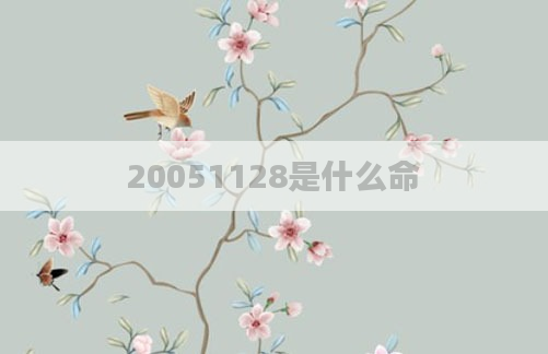 20051128是什么命