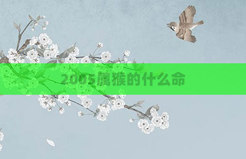 2005属猴的什么命