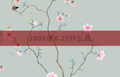 2005年8.22什么命