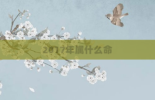 2017年属什么命
