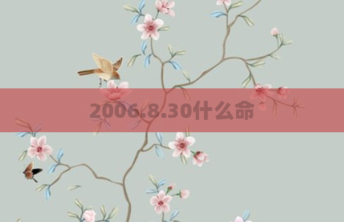 2006.8.30什么命