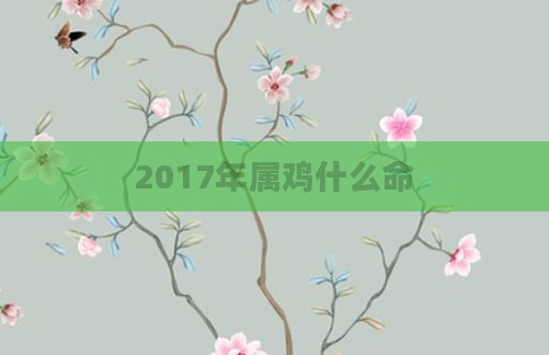 2017年属鸡什么命