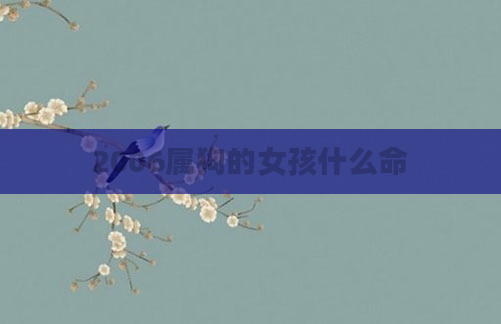 2006属狗的女孩什么命