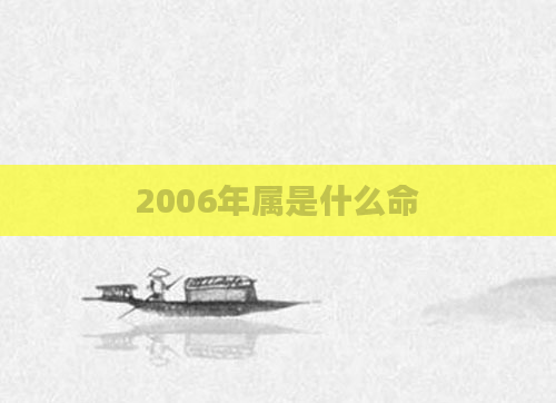 2006年属是什么命