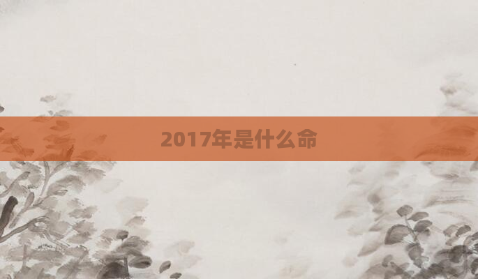 2017年是什么命