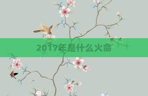 2017年是什么火命
