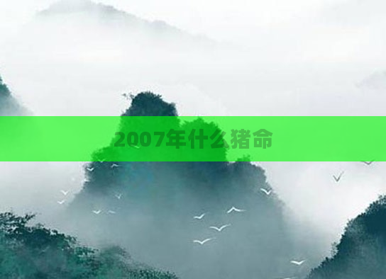 2007年什么猪命