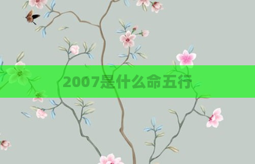 2007是什么命五行