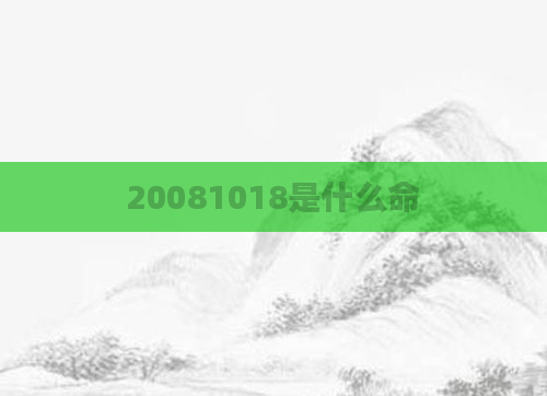 20081018是什么命