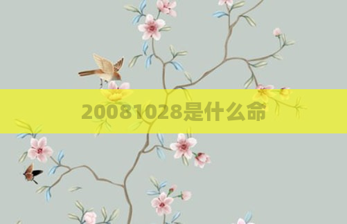20081028是什么命