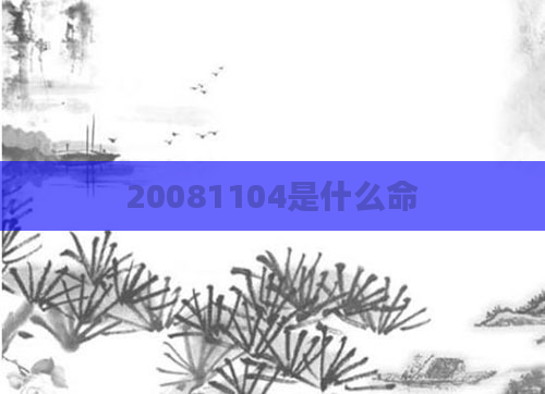 20081104是什么命