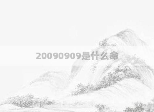 20090909是什么命