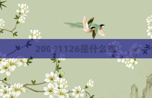 20091126是什么命
