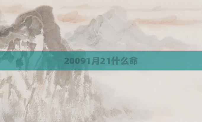 20091月21什么命