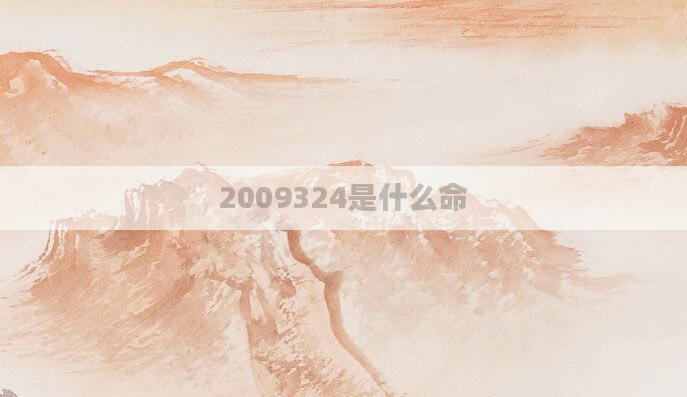 2009324是什么命