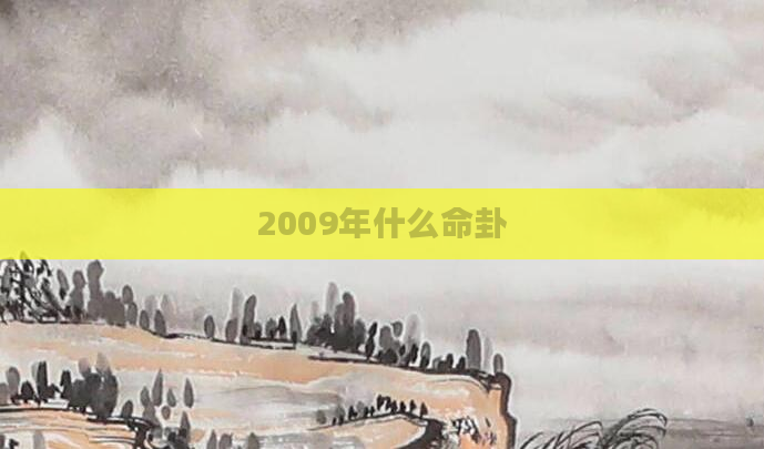 2009年什么命卦