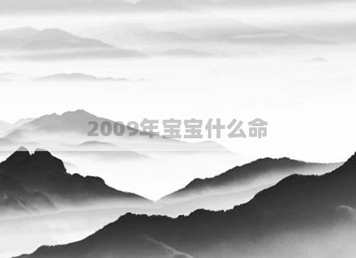 2009年宝宝什么命