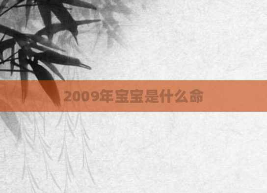 2009年宝宝是什么命