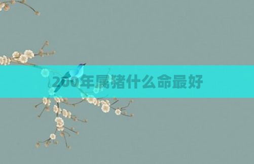 200年属猪什么命最好
