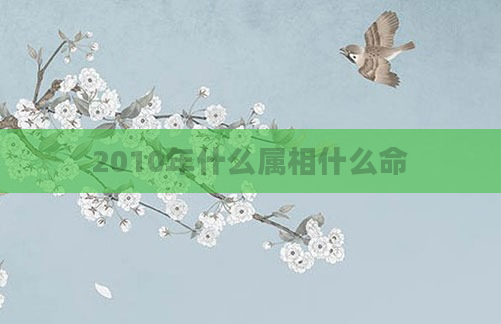 2010年什么属相什么命