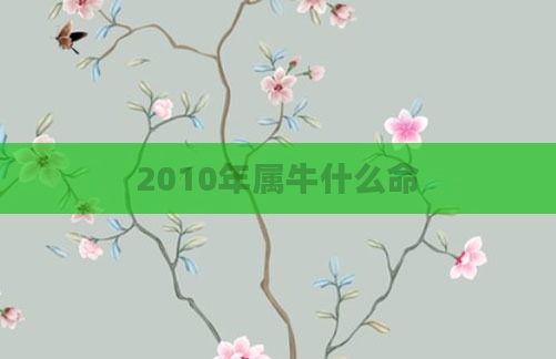 2010年属牛什么命