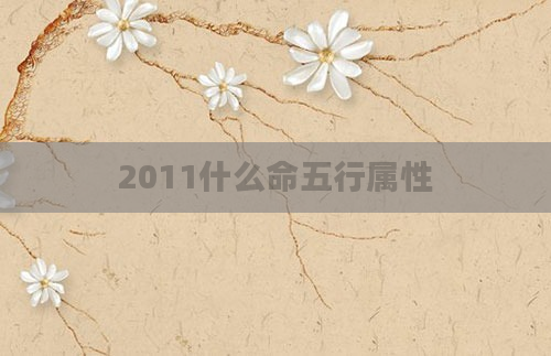2011什么命五行属性