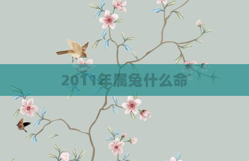 2011年属兔什么命