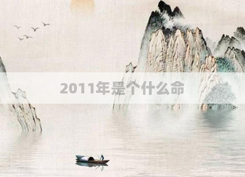 2011年是个什么命