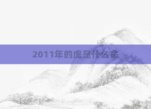 2011年的虎是什么命
