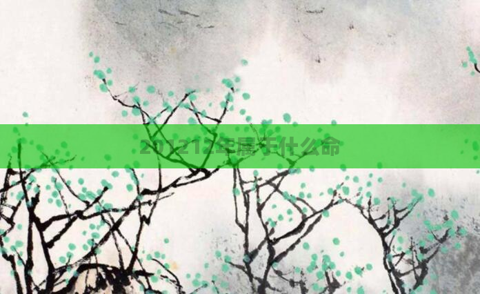 201212年属于什么命