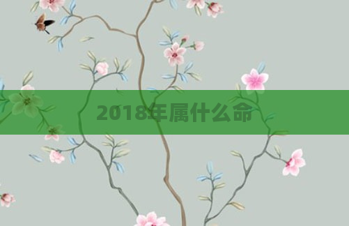 2018年属什么命