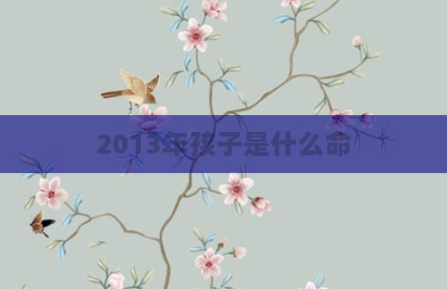 2013年孩子是什么命