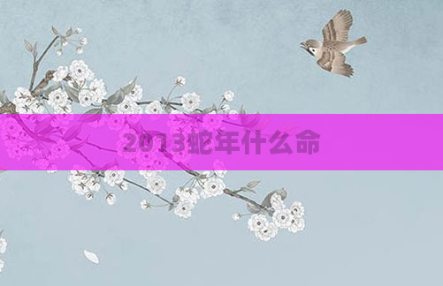 2013蛇年什么命