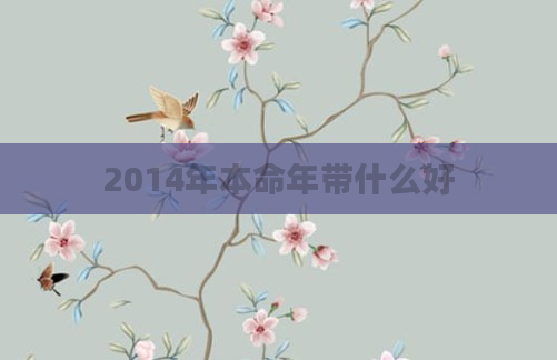 2014年本命年带什么好
