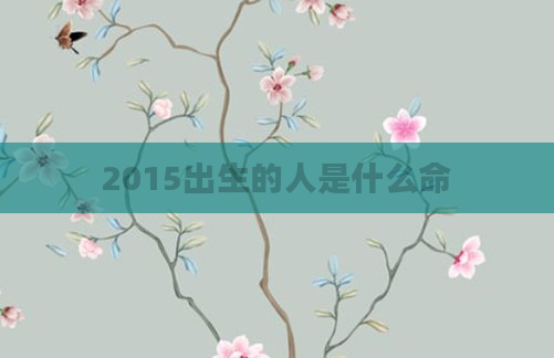 2015出生的人是什么命